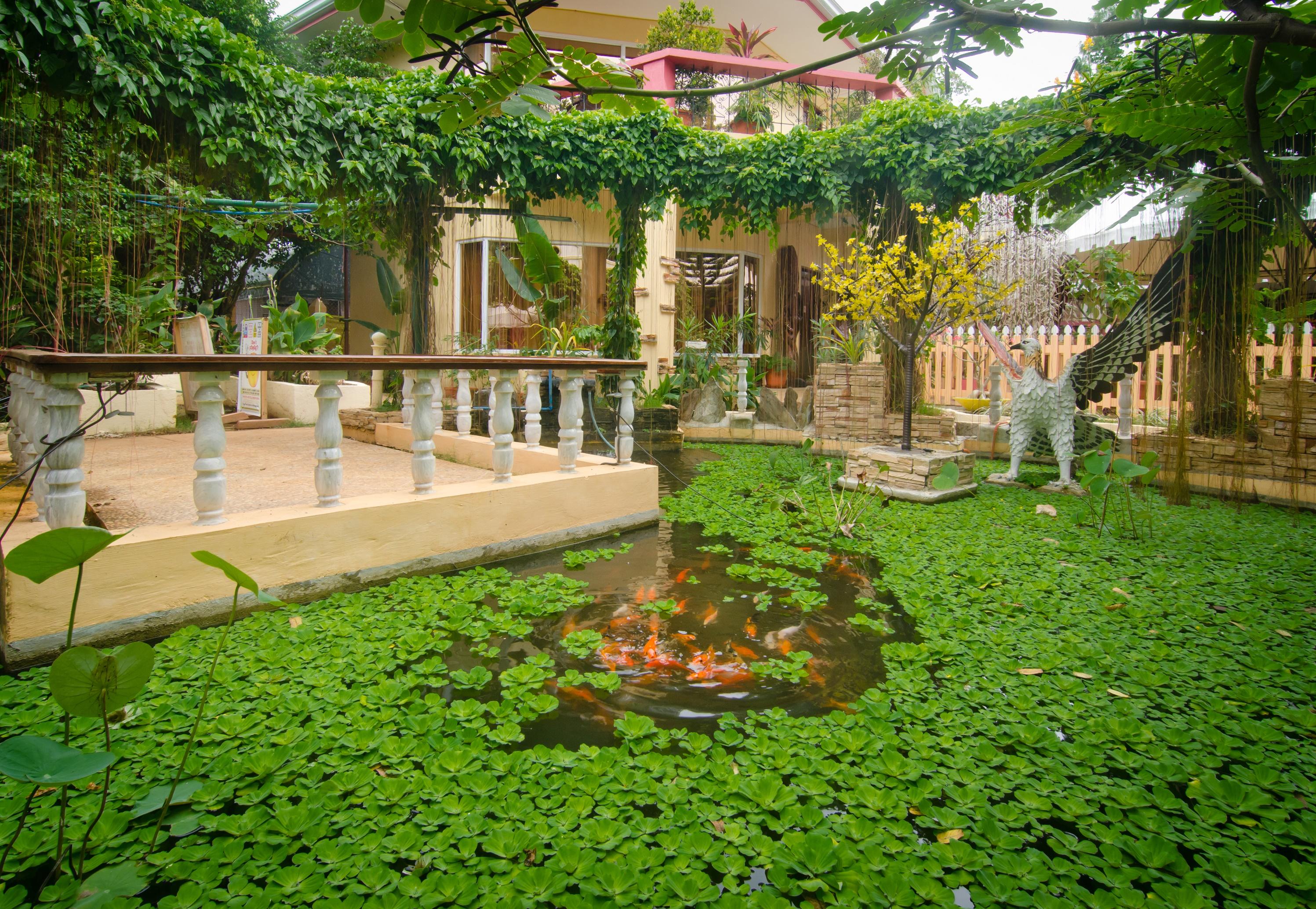 Deep Forest Garden Hotel Puerto Princesa Buitenkant foto